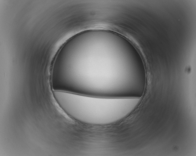 X0000113531480200909180948