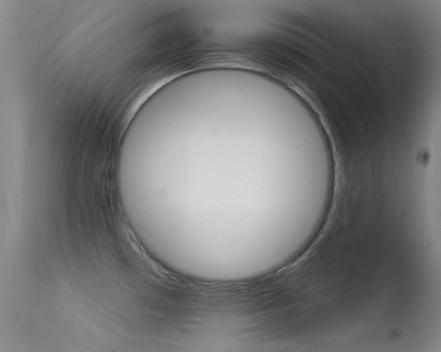X0000113531481200909180948