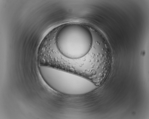 X0000113531483200909180948