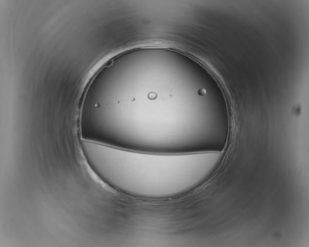 X0000113531484200909180948