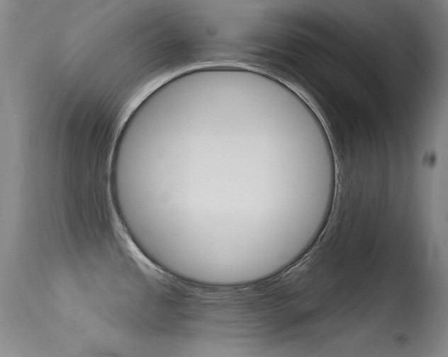 X0000113531485200909180948