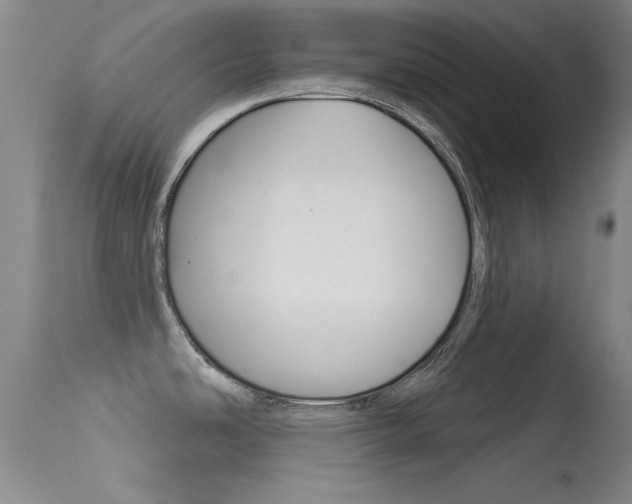 X0000113531486200909180948
