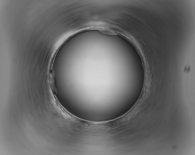 X0000113531488200909180948