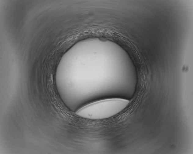 X0000113531489200909180947