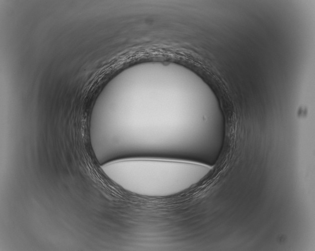 X0000113531490200909180947