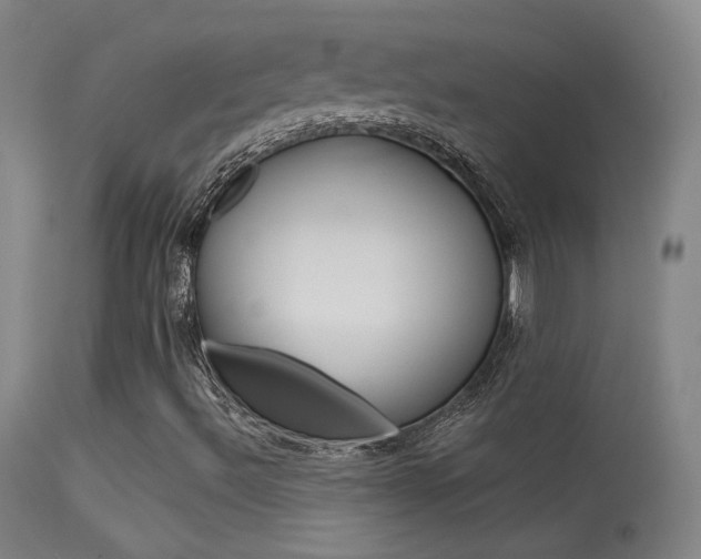 X0000113531492200909180947
