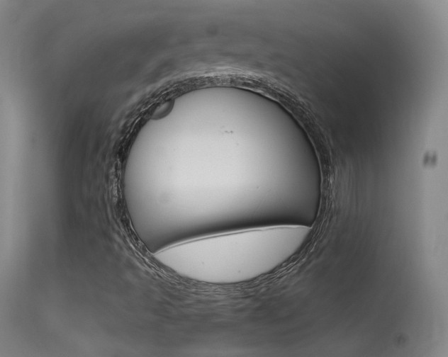X0000113531493200909180947