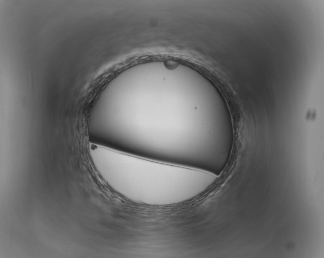 X0000113531494200909180947