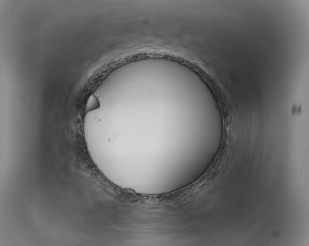 X0000113531495200909180947