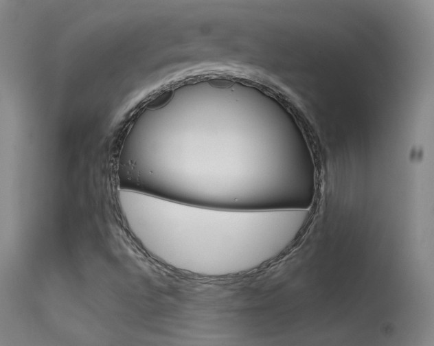 X0000113531496200909180948