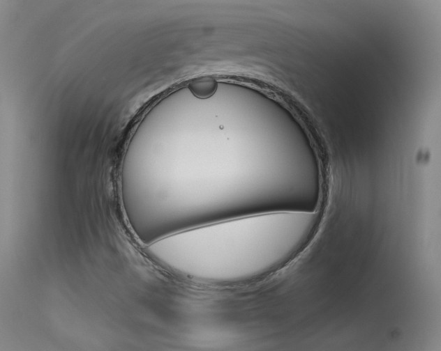 X0000113531497200909180948