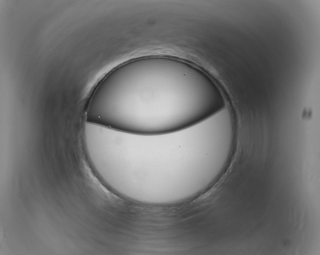 X0000113531500200909180948