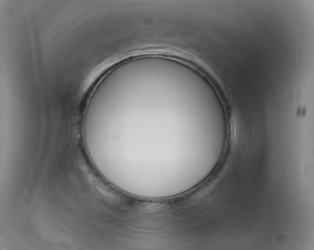 X0000113531501200909180948