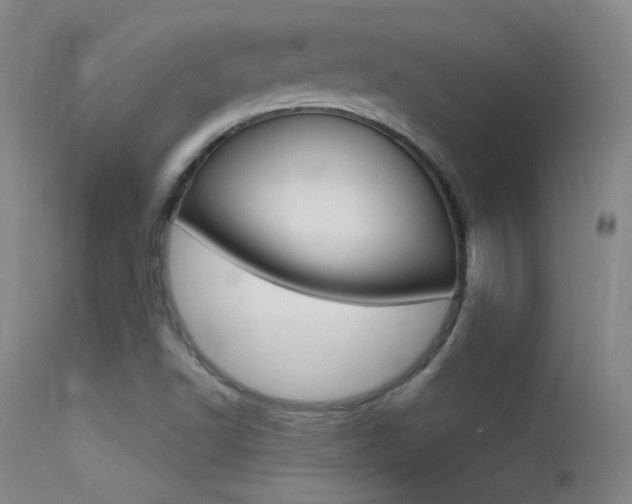 X0000113531502200909180948