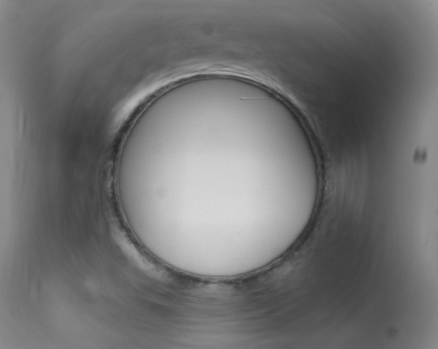 X0000113531503200909180948