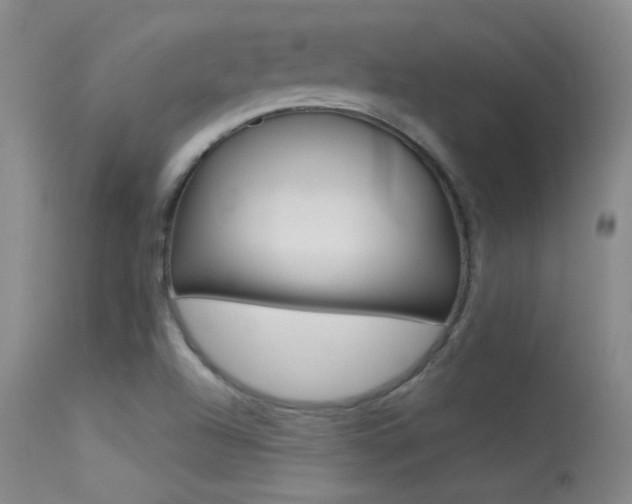 X0000113531504200909180948