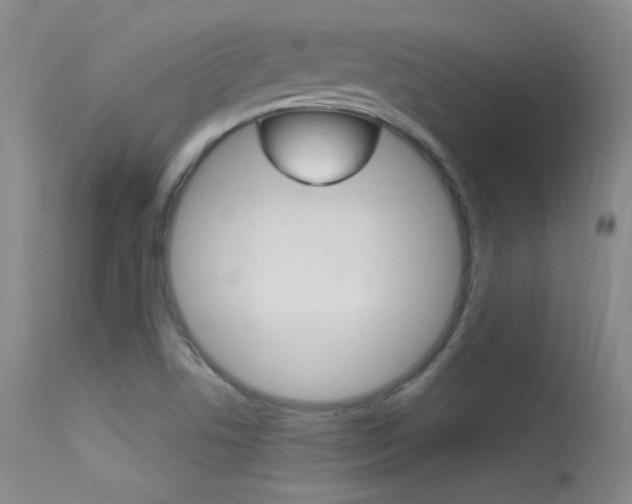 X0000113531506200909180948