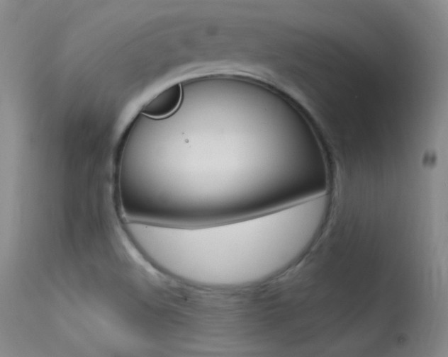 X0000113531508200909180948