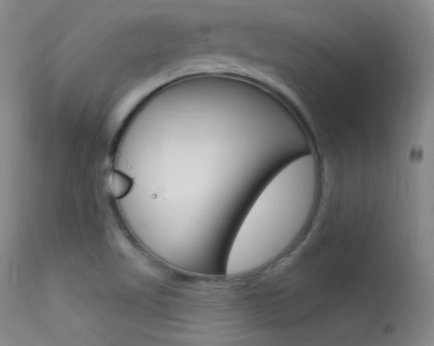 X0000113531509200909180948