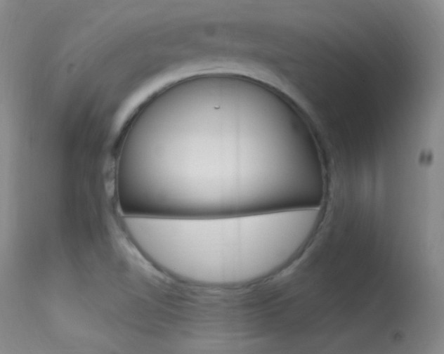 X0000113531510200909180948