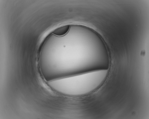 X0000113531511200909180948