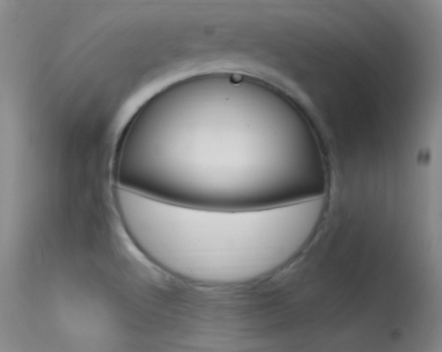 X0000113531512200909180948