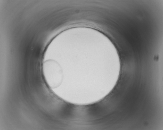 X0000113531514200909180948