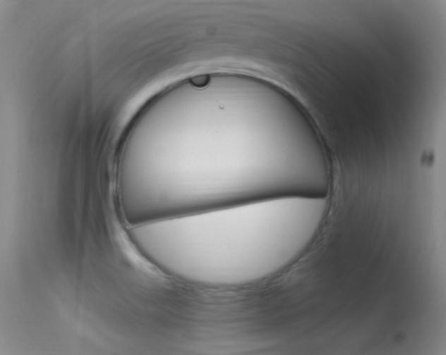X0000113531515200909180948