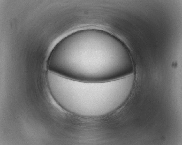 X0000113531516200909180948