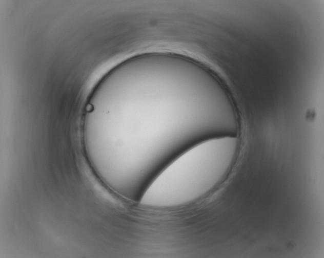 X0000113531517200909180948