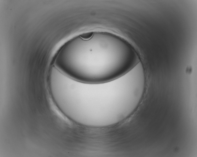 X0000113531518200909180948