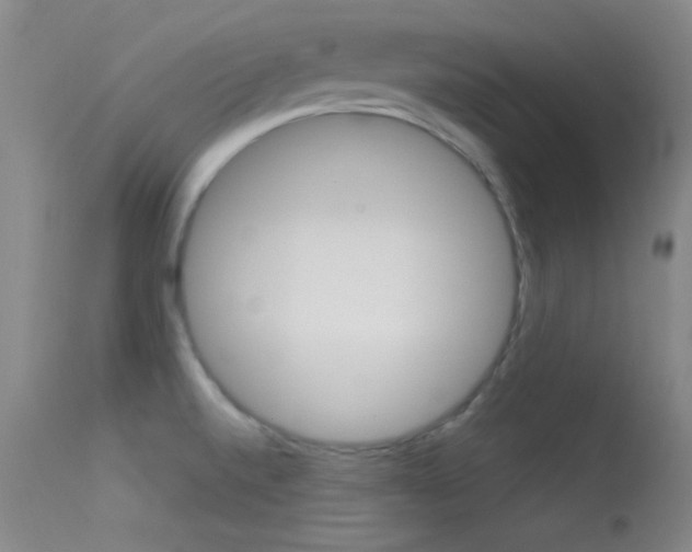 X0000113531520200909180948
