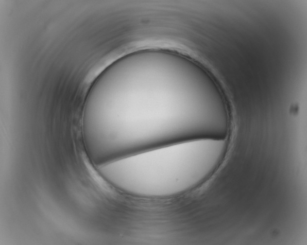 X0000113531521200909180948