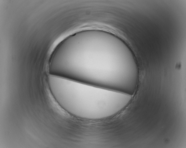 X0000113531522200909180948