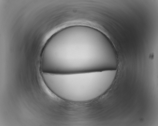 X0000113531523200909180948