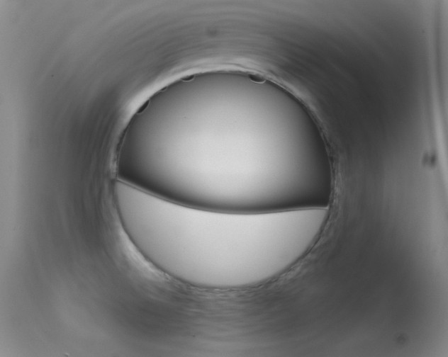 X0000113531524200909180948