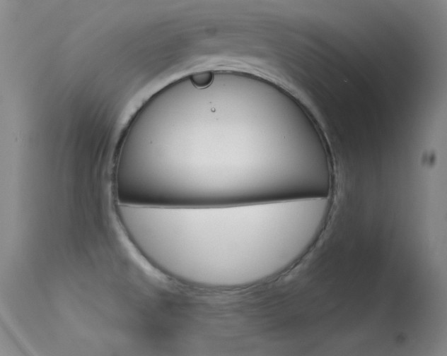 X0000113531525200909180948