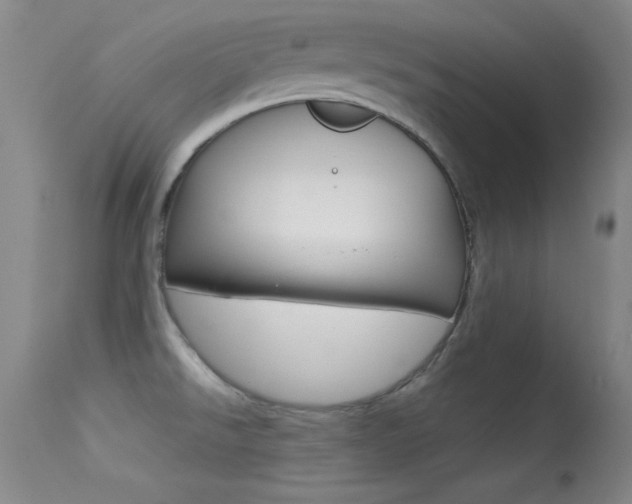 X0000113531526200909180948