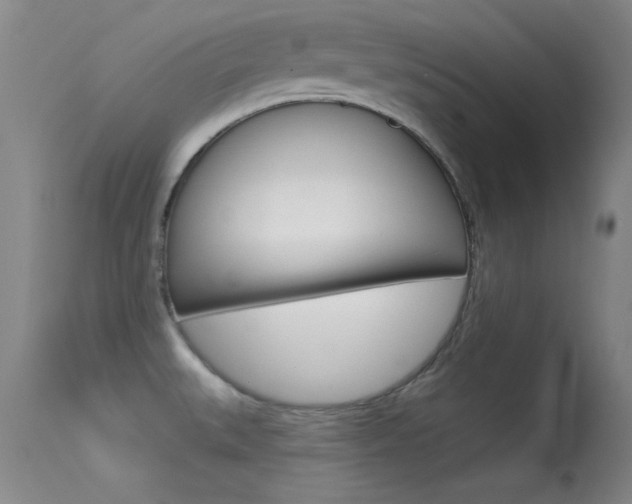 X0000113531527200909180948