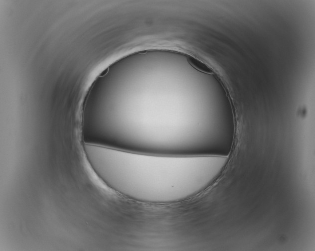 X0000113531528200909180948