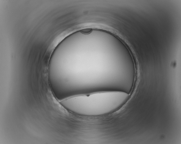 X0000113531529200909180948