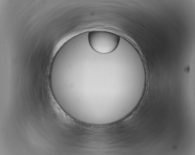 X0000113531530200909180948
