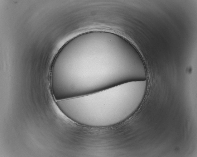X0000113531531200909180948