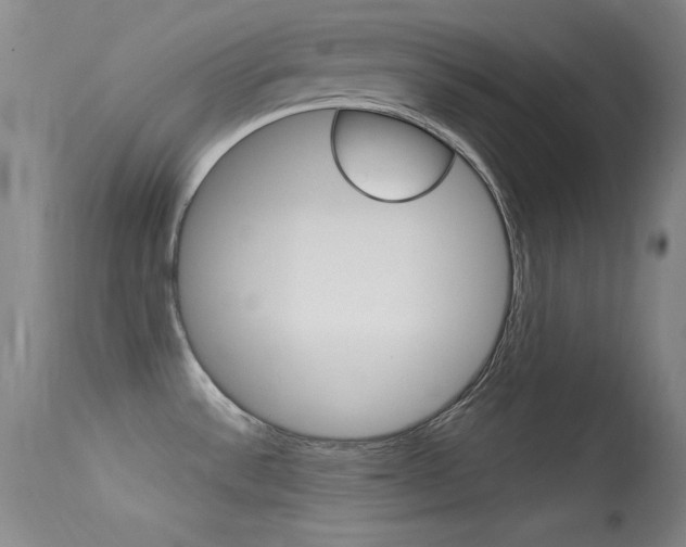 X0000113531532200909180948