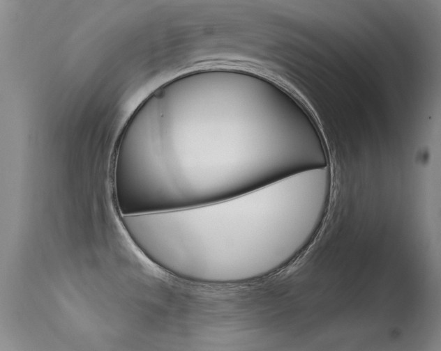 X0000113531533200909180948