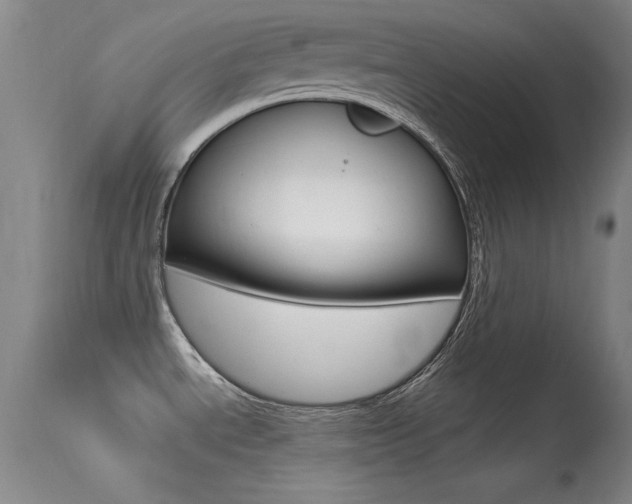 X0000113531534200909180948