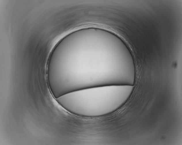 X0000113531535200909180948