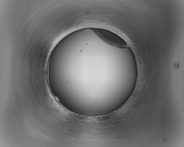 X0000113531536200909180948