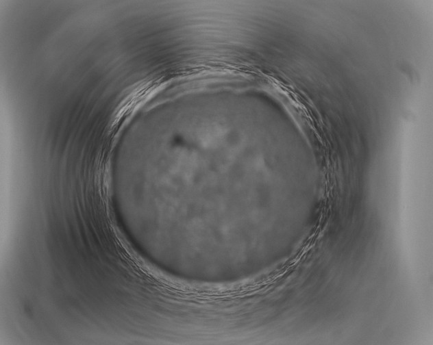 X0000113530002200909181145