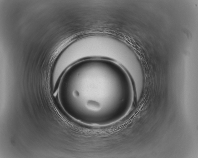 X0000113530005200909181145
